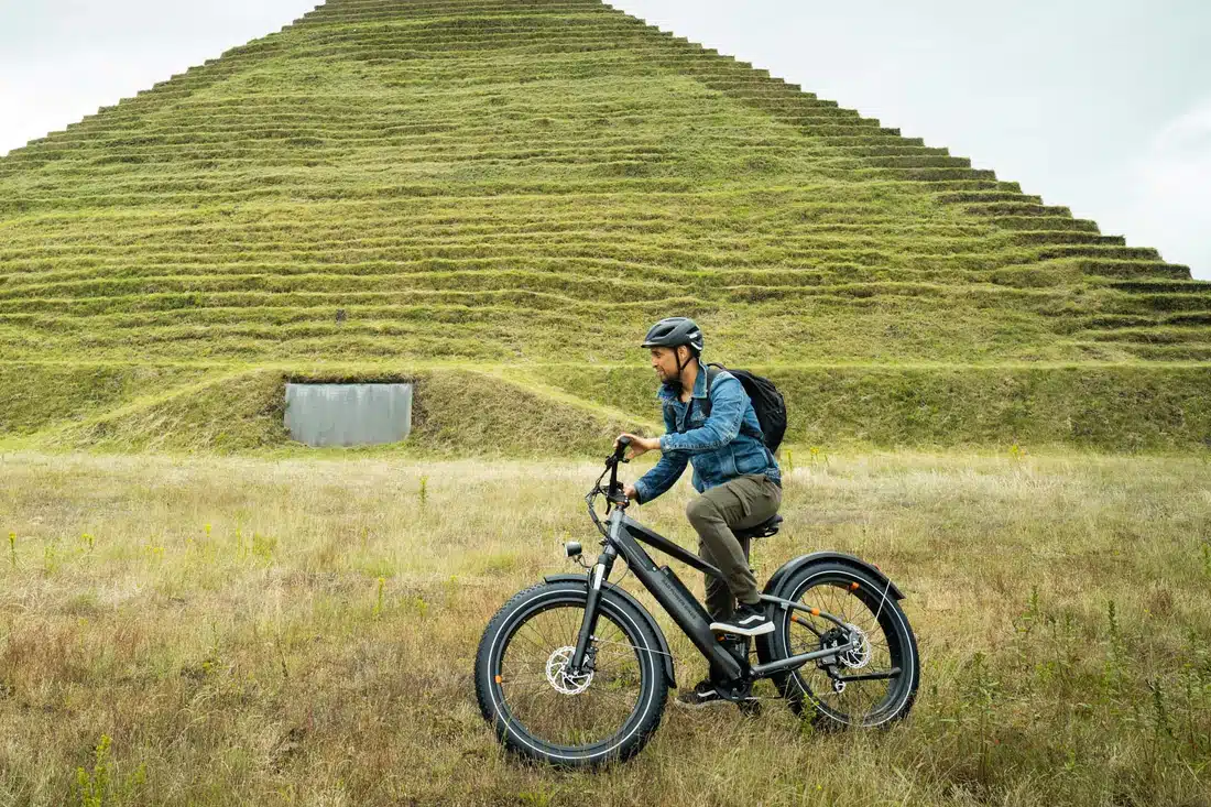 Radrhino von Radpowerbikes - eBikeNews
