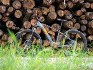 Das perfekte Freizeit-E-MTB? Das Vecocraft Hermes im Praxistest