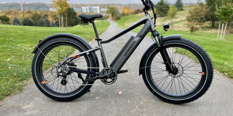 Endgültig vor dem Aus? Internationaler E-Bike-Hersteller insolvent RadRhino 6 Plus
