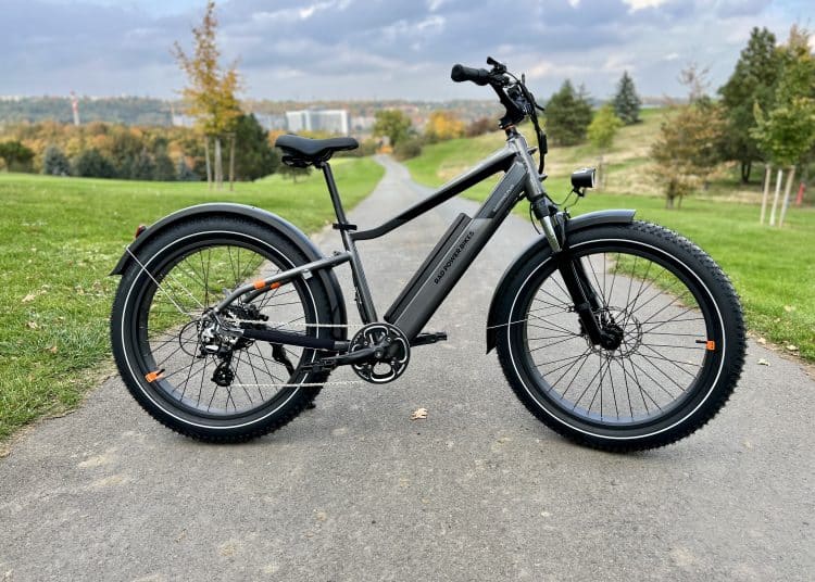 RadRhino 6 Plus macht auf vielen Untergründen einen guten Job | Quelle: eBikeNews