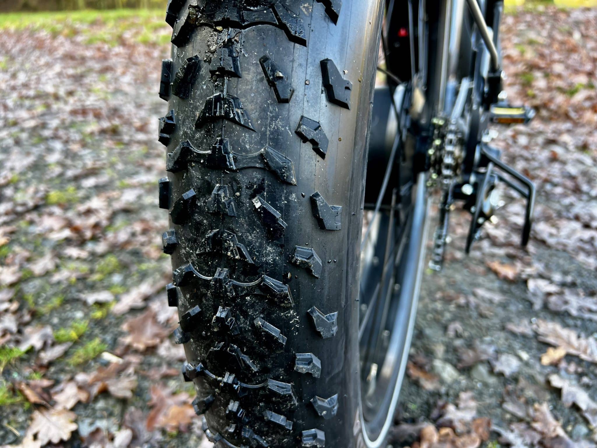 Budget E-Bike | E-Fatbike | E-SUV - IMG 8480 scaled