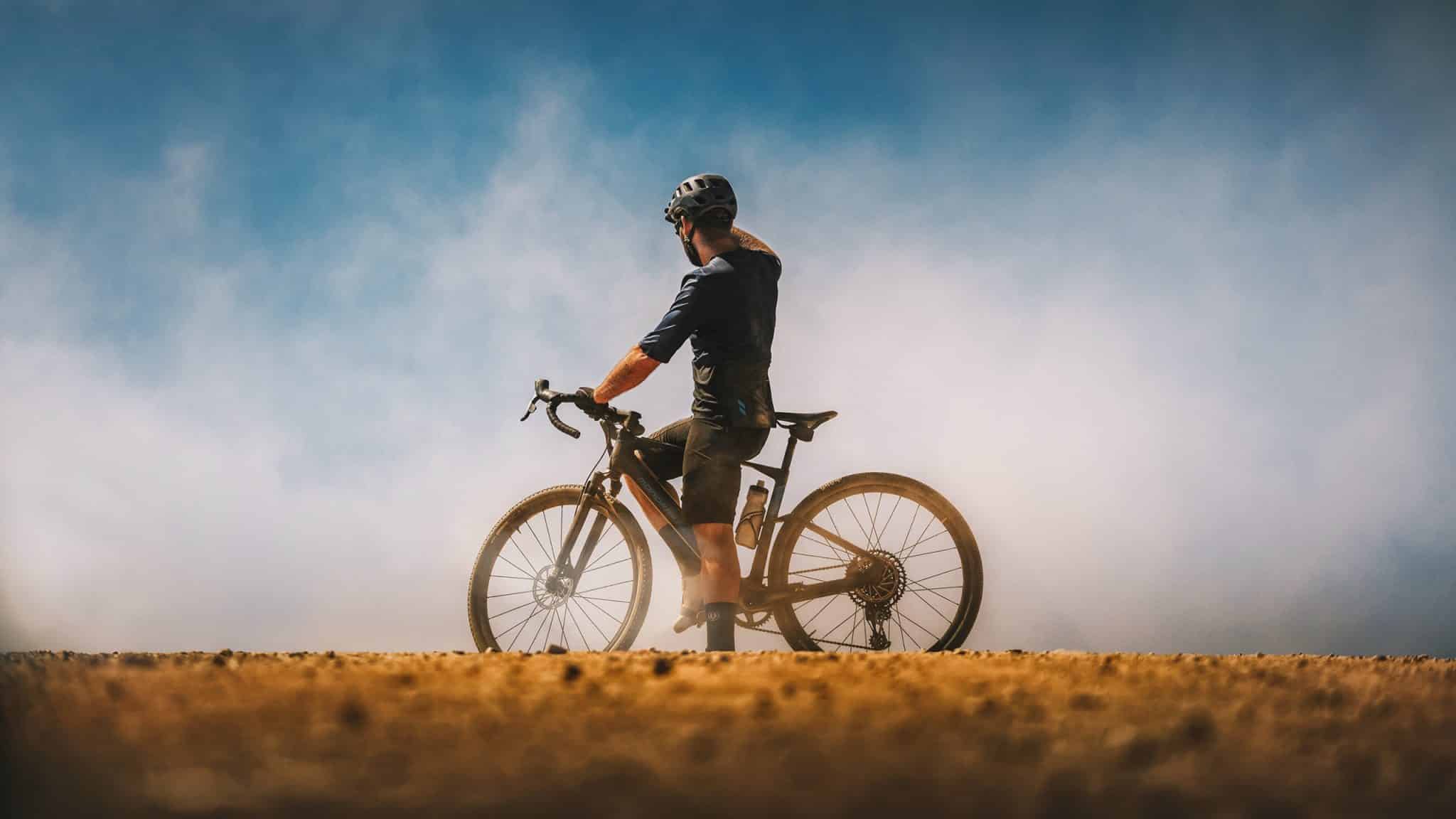 App | Carbon | E-Gravelbike - Dusty scaled