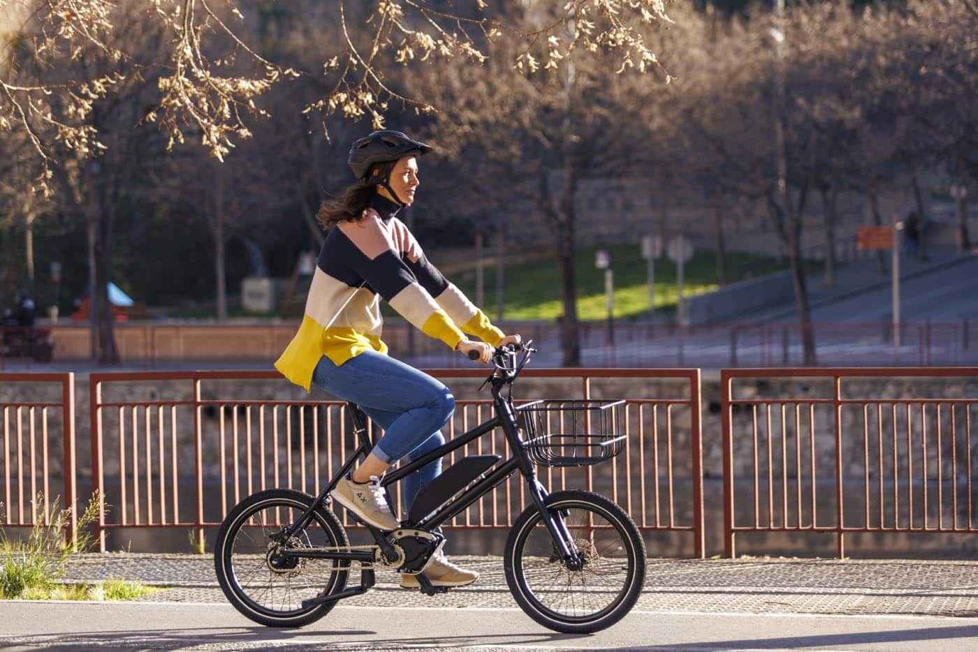 E-Bike mit Niche ADTS - eBikeNews