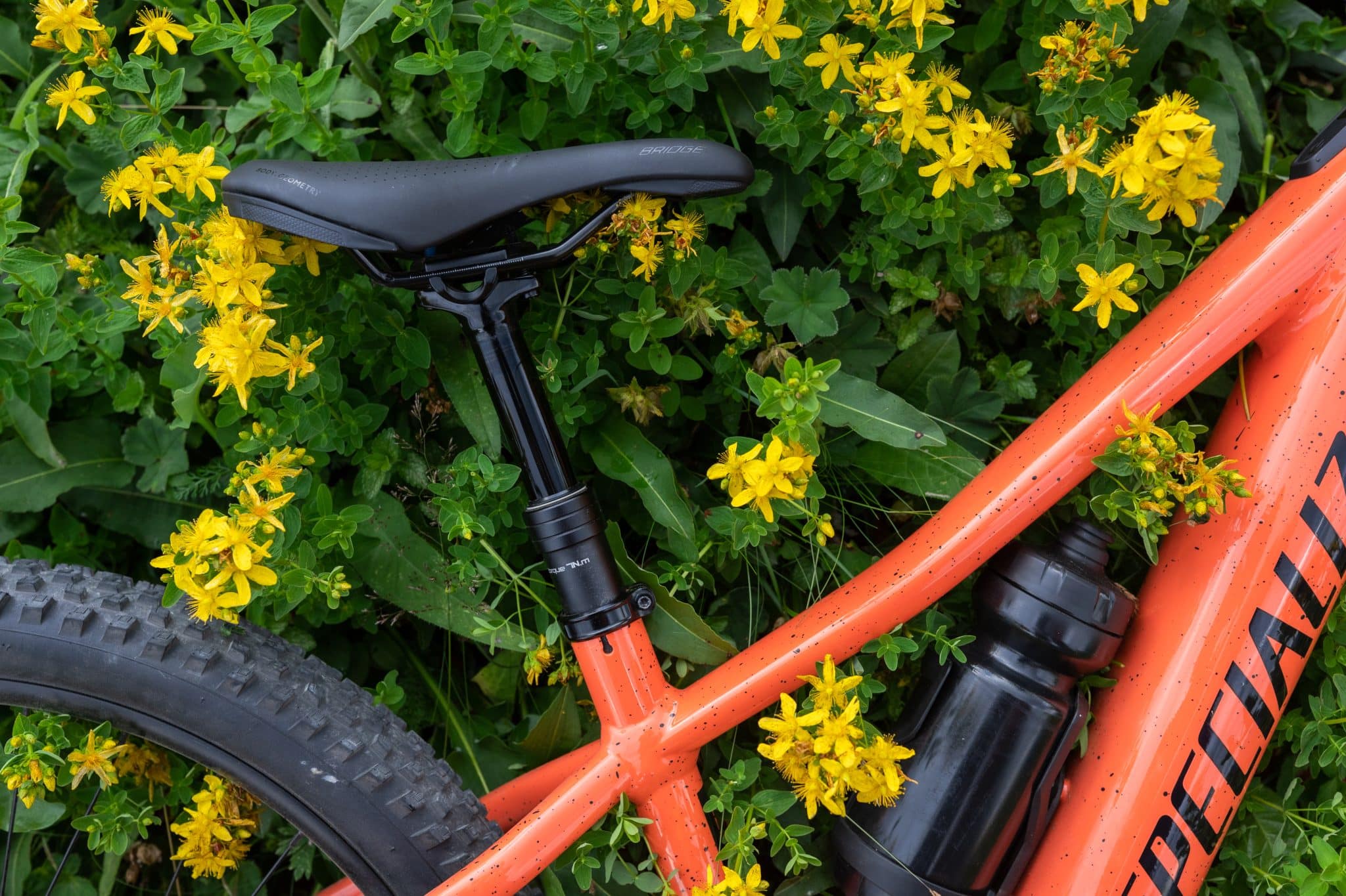 Turbo Levo SL Kids E-MTB ist auf die Bedürfnisse von Kindern angepasst