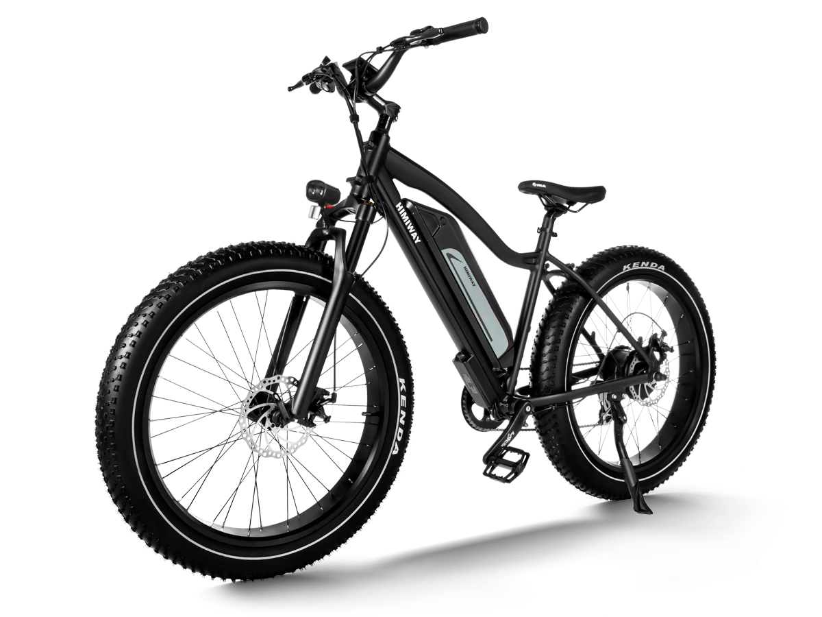 Aktionsberatung | Cruiser E-Bike | E-Fatbike -