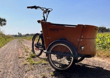 Babboe Curve Mountain mit Mittelmotor
