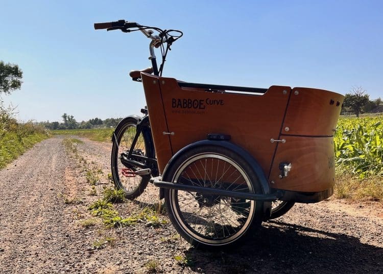 Babboe Curve Mountain mit Mittelmotor