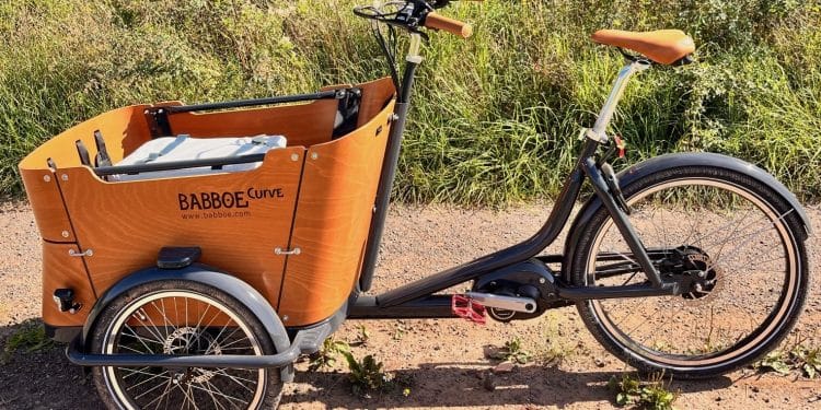 Babboe E-Lastenrad Curve Mountain im Test - eBikeNews.