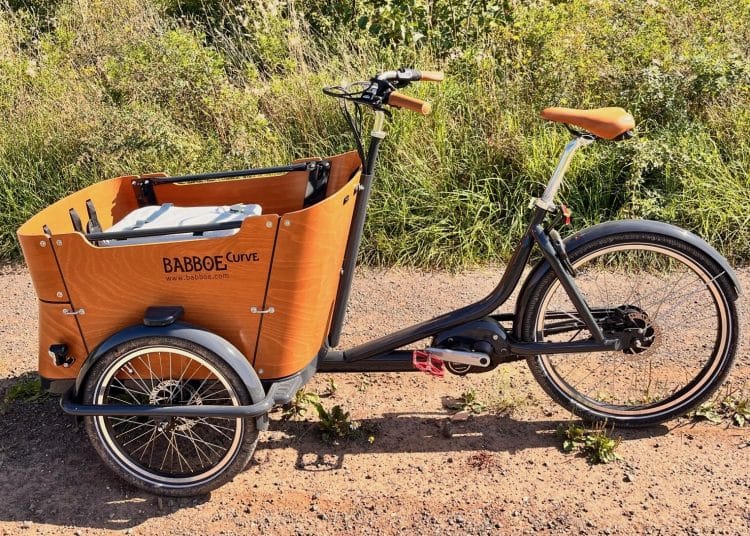 Babboe E-Lastenrad Curve Mountain im Test - eBikeNews.