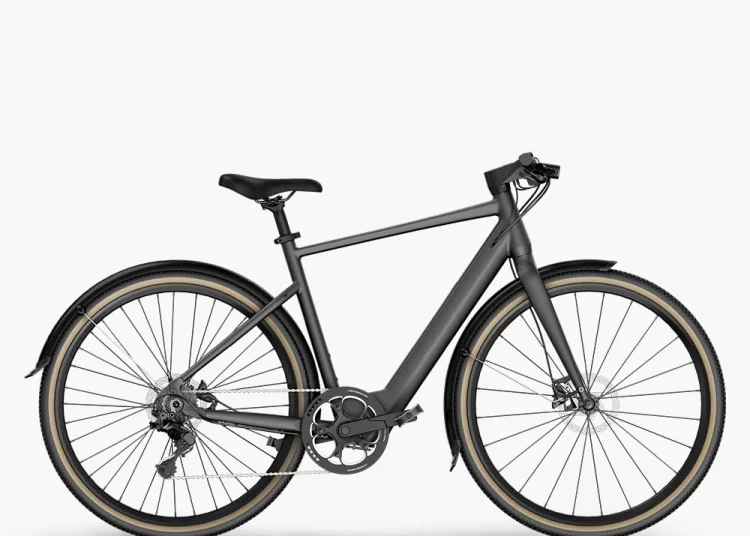 Fiido C21 E-Gravel im Angebot - eBikeNews
