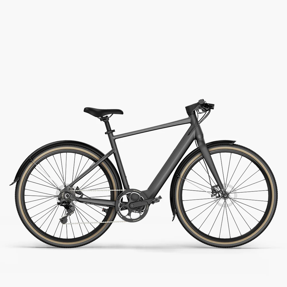 China-E-Bike | City E-Bike | E-Bike - Fiido C21 grau
