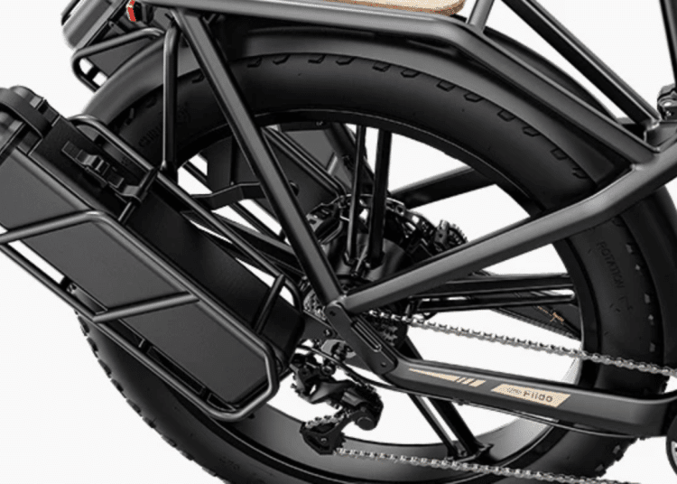 Fiido Titan Akku - ebikeNews