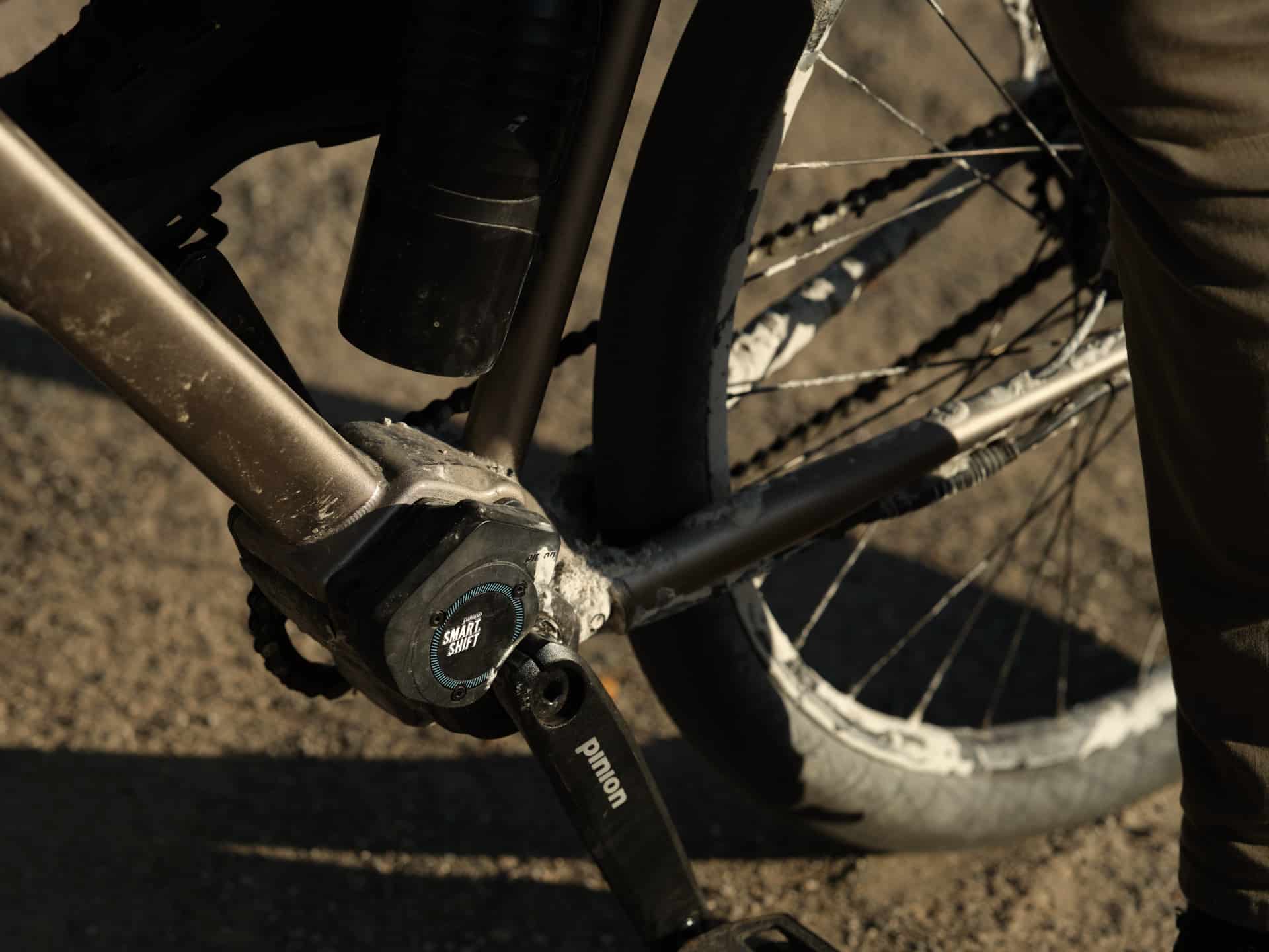 Geos-mit-Pinion-Getriebeschaltung-eBikeNews