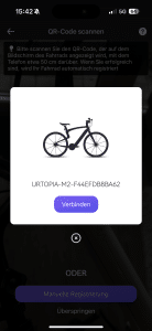 E-Bike | Heckantrieb | Scheibenbremse - IMG 4555