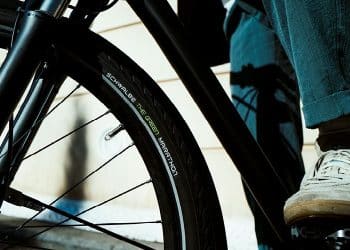 Quelle: Schwalbe