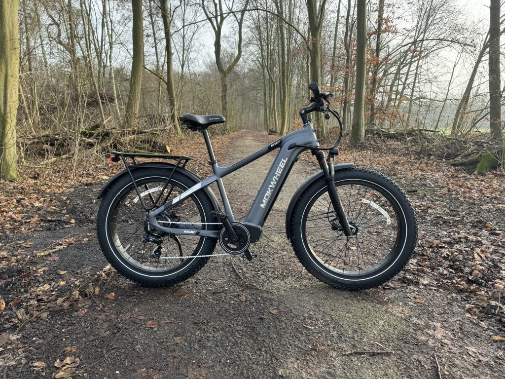 Elektrofahrrad Mokwheel Basalt im Praxistest
