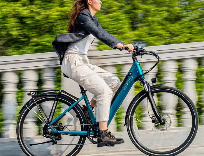 Fiido-C11-Seitenansicht-Titel-E-Bike-News