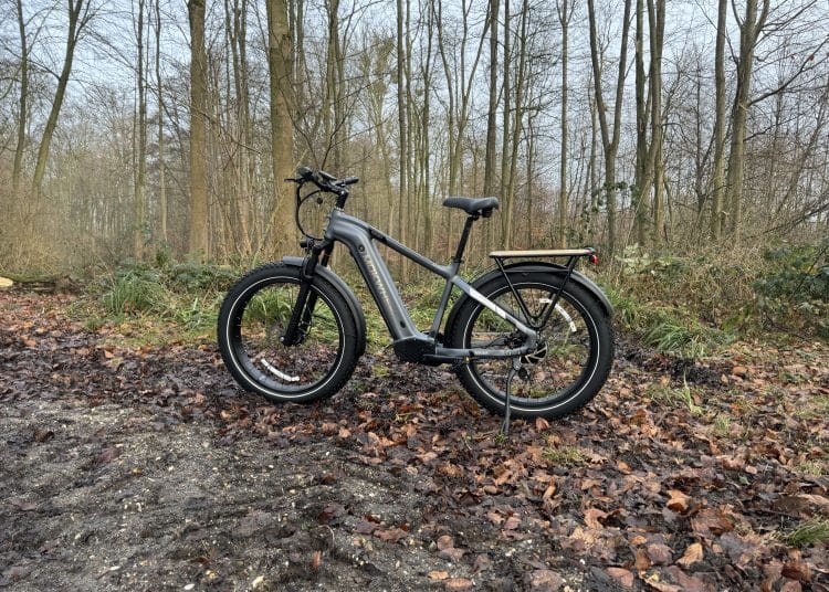 Mokwheel Basalt E-Fatbike im Test