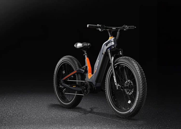 Das Heybike Hero in zwei Varianten – eBikeNews.