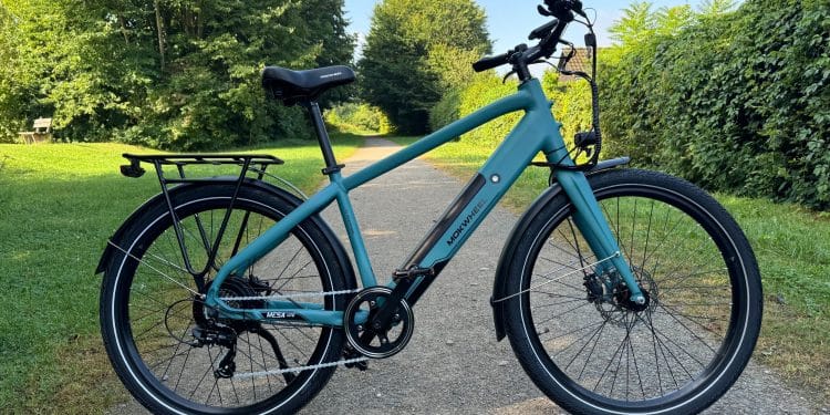 Das Mokwheel Mesa Lite 3.0 im Test – eBikeNews.