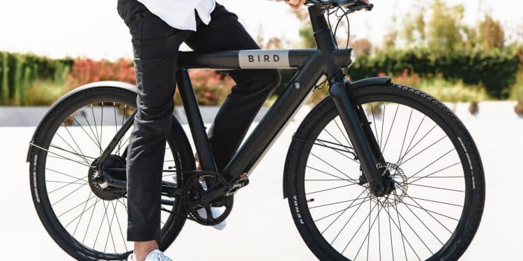 Das Bird Bike A-Frame – eBikeNews.