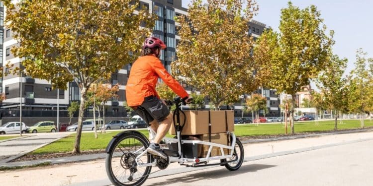 E-Lastenrad-Bafa-Praemie_EBikeNews