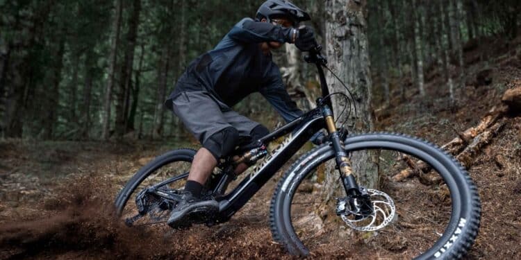 Das E-Bike Amflow PL Carbon Pro – eBikeNews.