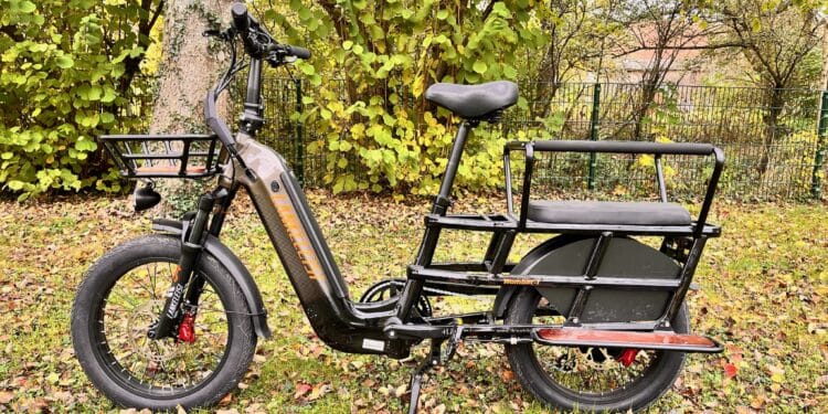 Lankeleisi Wombat E-Lastenrad im Test