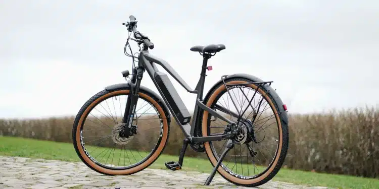Prophete Stack Sport - eBikeNews