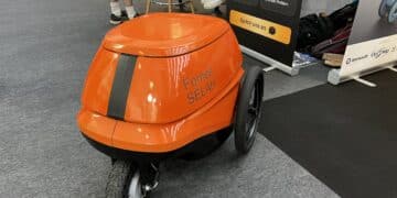 Fomee Selah E-Gepäckträger