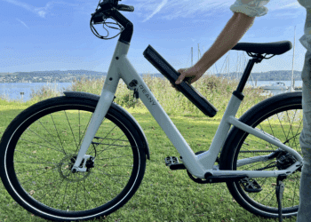 Akkueinsatz Reany V1 Vivo