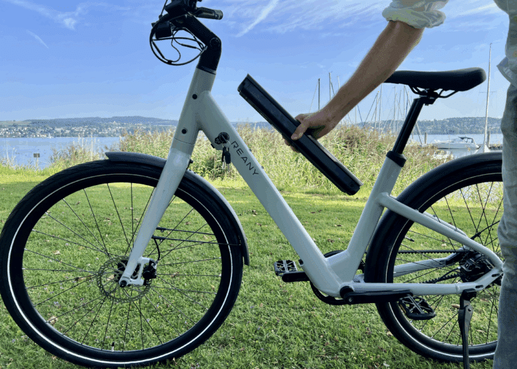 Akkueinsatz Reany V1 Vivo