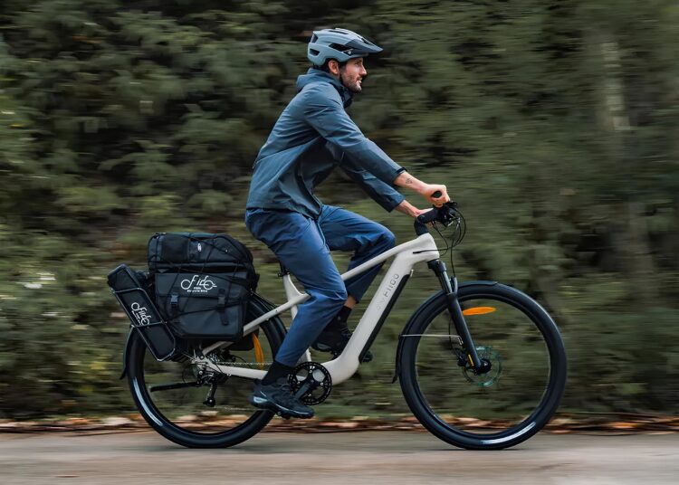 Das neue Fiido Nomads