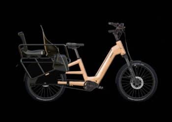 Das Lastenrad MAXX Maxximo Longtail