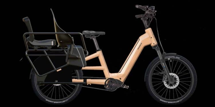 So teuer wie ein Elektroauto – wenn ein Lastenrad plötzlich zum Zweitwagen wird Das Lastenrad MAXX Maxximo Longtail