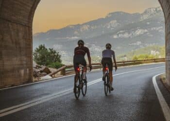 Das SIGMA RECO 80 LINK