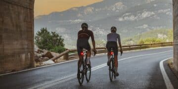 Das SIGMA RECO 80 LINK