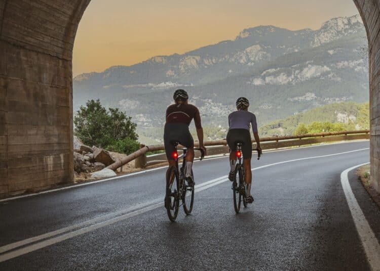 Das SIGMA RECO 80 LINK