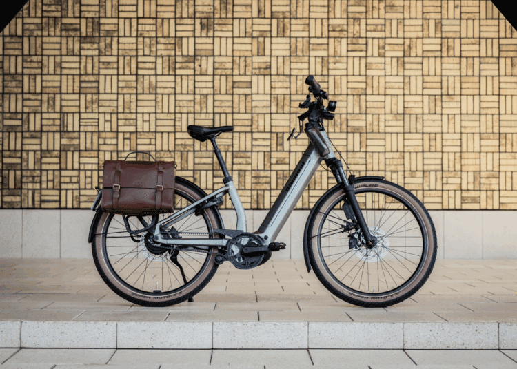 Diamant komfortables S-Pedelec