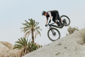 Bosch eBike Flow App 1.34 Update Trick Check auf E-Bike-Display