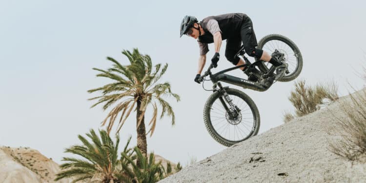 Gratis Bosch-App-Update: E-Bike misst ab sofort Puls und Tricks Bosch eBike Flow App 1.34 Update Trick Check auf E-Bike-Display
