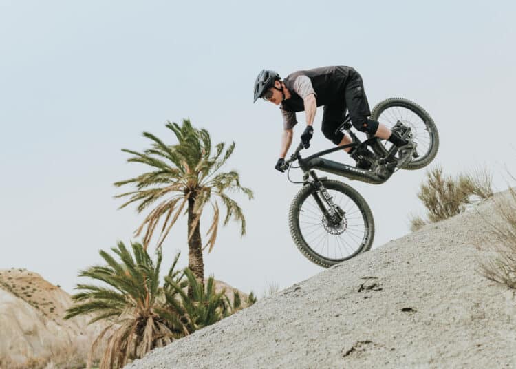 Bosch eBike Flow App 1.34 Update Trick Check auf E-Bike-Display