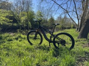 vakole-emt29-12s-am-bach-im-gras