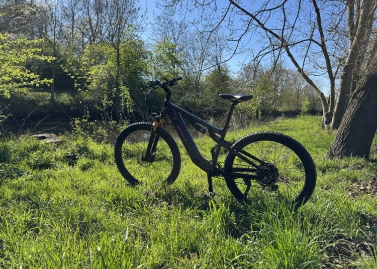 vakole-emt29-12s-am-bach-im-gras