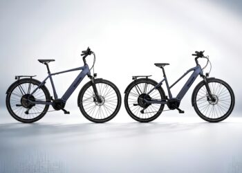 Das E-Bike Riverside ETR 900 im Angebot.