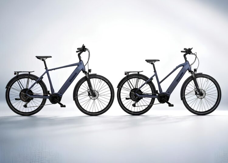 Das E-Bike Riverside ETR 900 im Angebot.