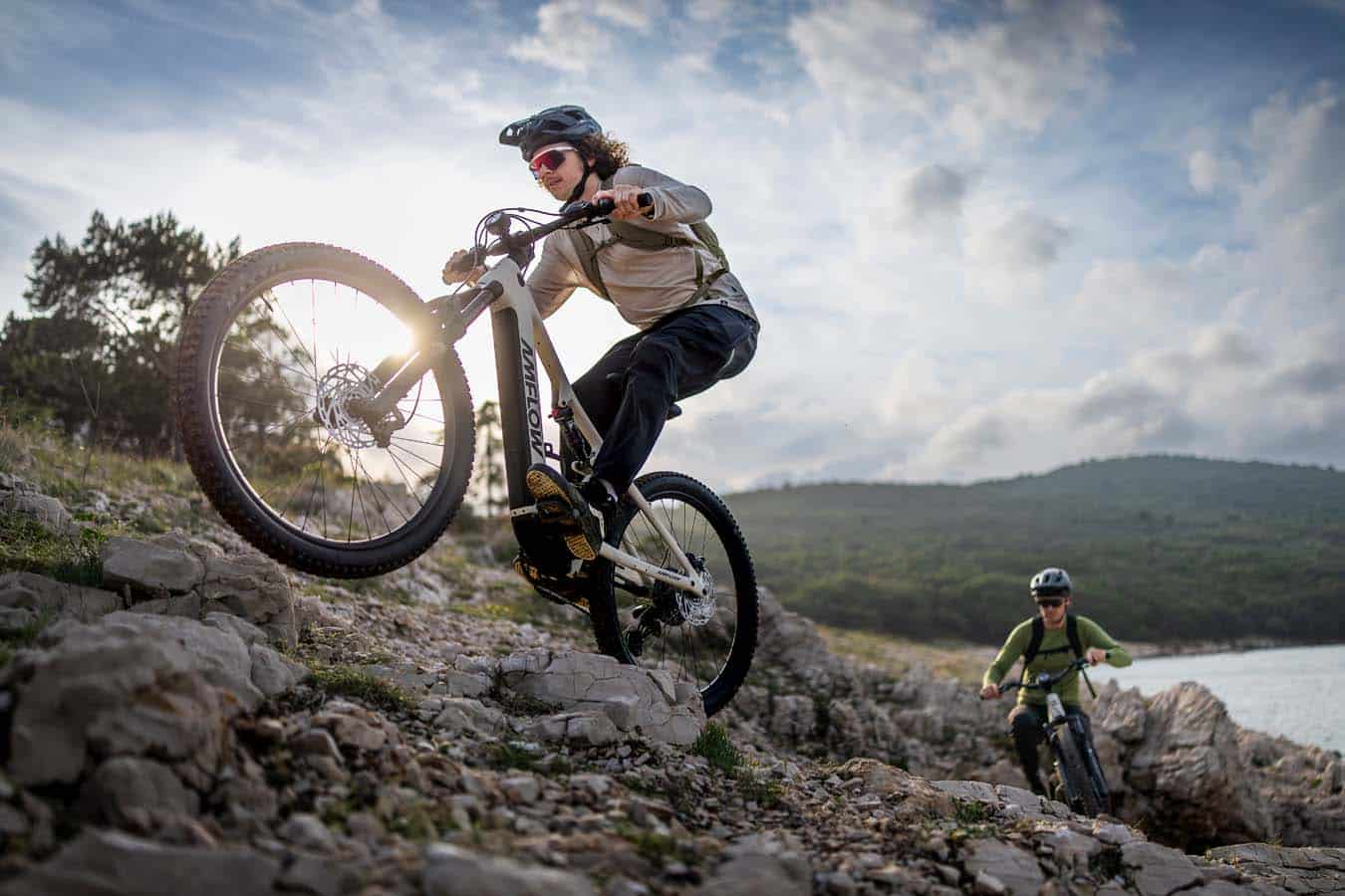 Amflow TL Carbon E-MTB