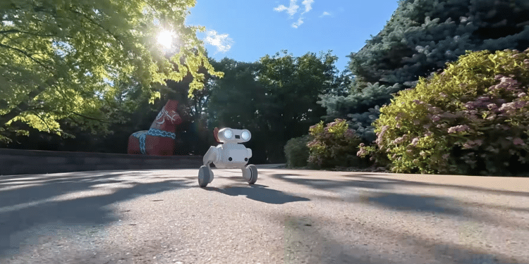 Kickstarter-Hit: Autonomer Kameraroboter Beni folgt mit 29 km/h und kostet nur 480 Euro Beni Kameraroboter