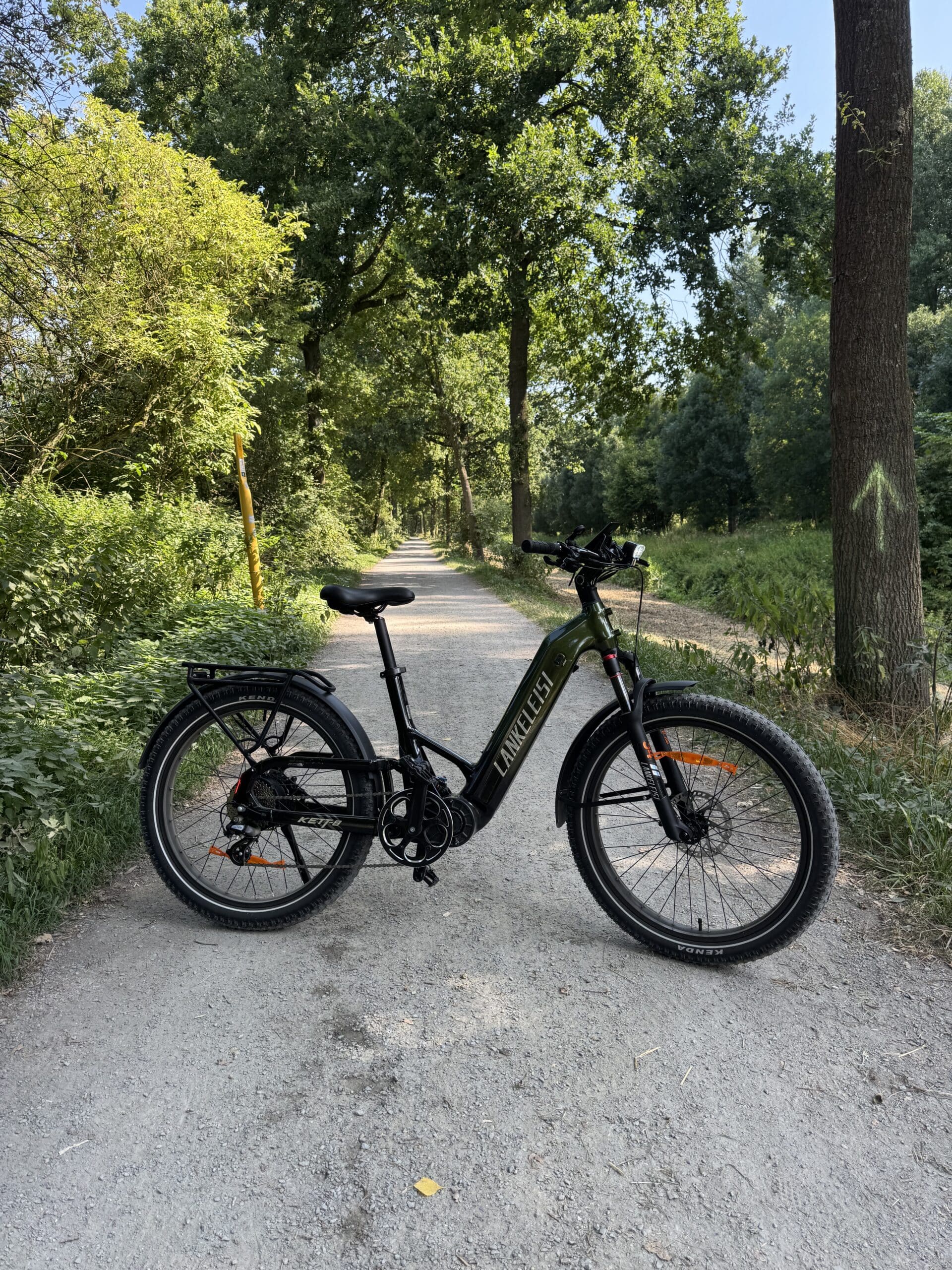 lankeleisi kett 8 e bike waldweg hochformat scaled