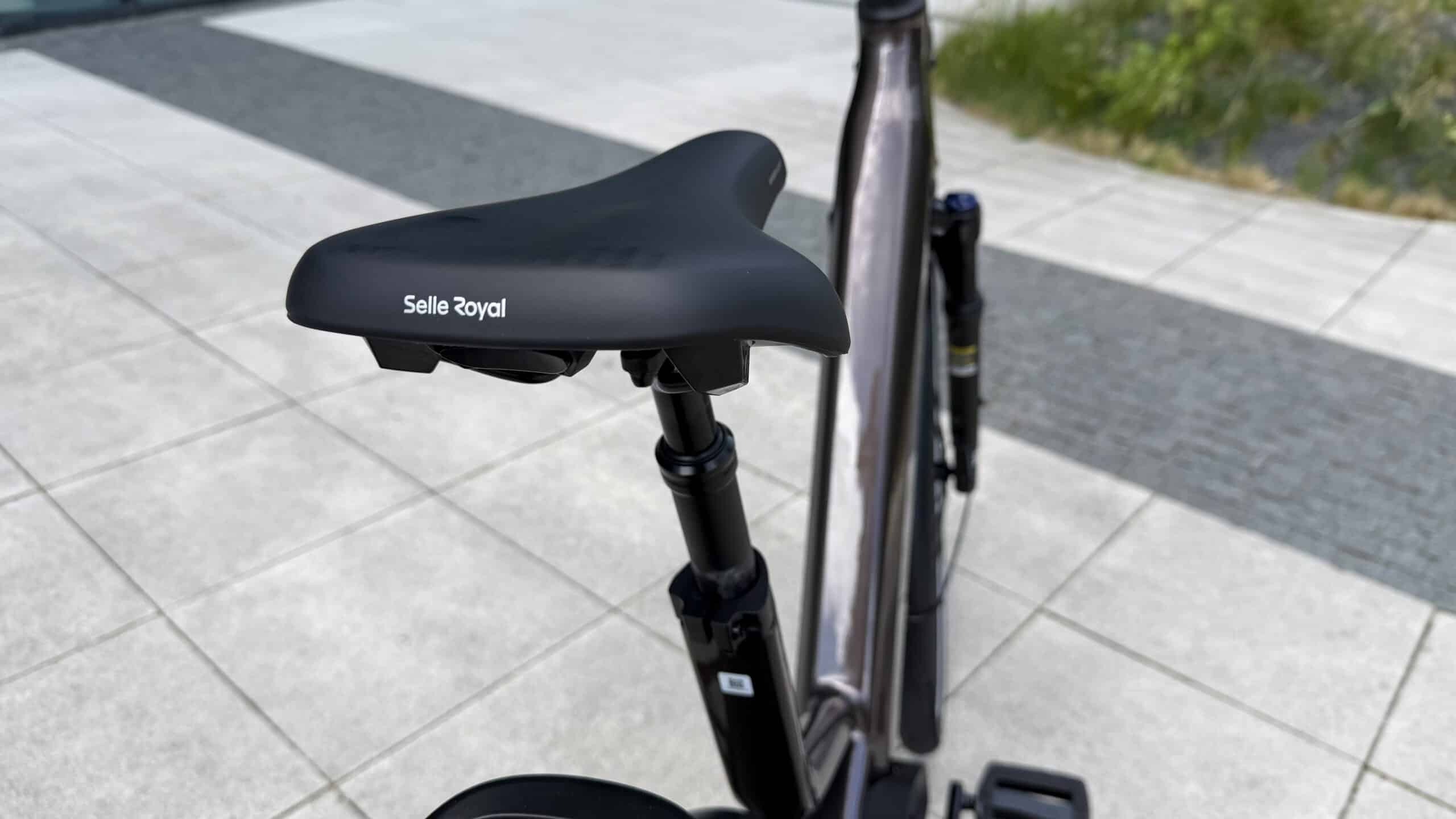 Selle-Royal-Sattel und gefederte Sattelstütze